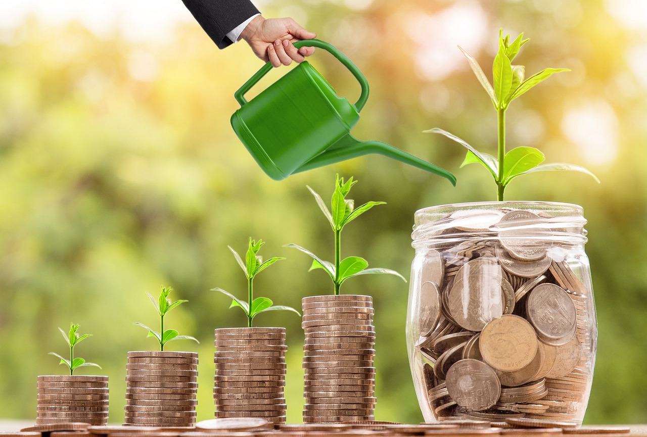 investment, money, interest, loan, credit, watering, can, sprout, grow, coin, finance, wealth, invest, savings, deposit, banking, loan, loan, loan, loan, loan